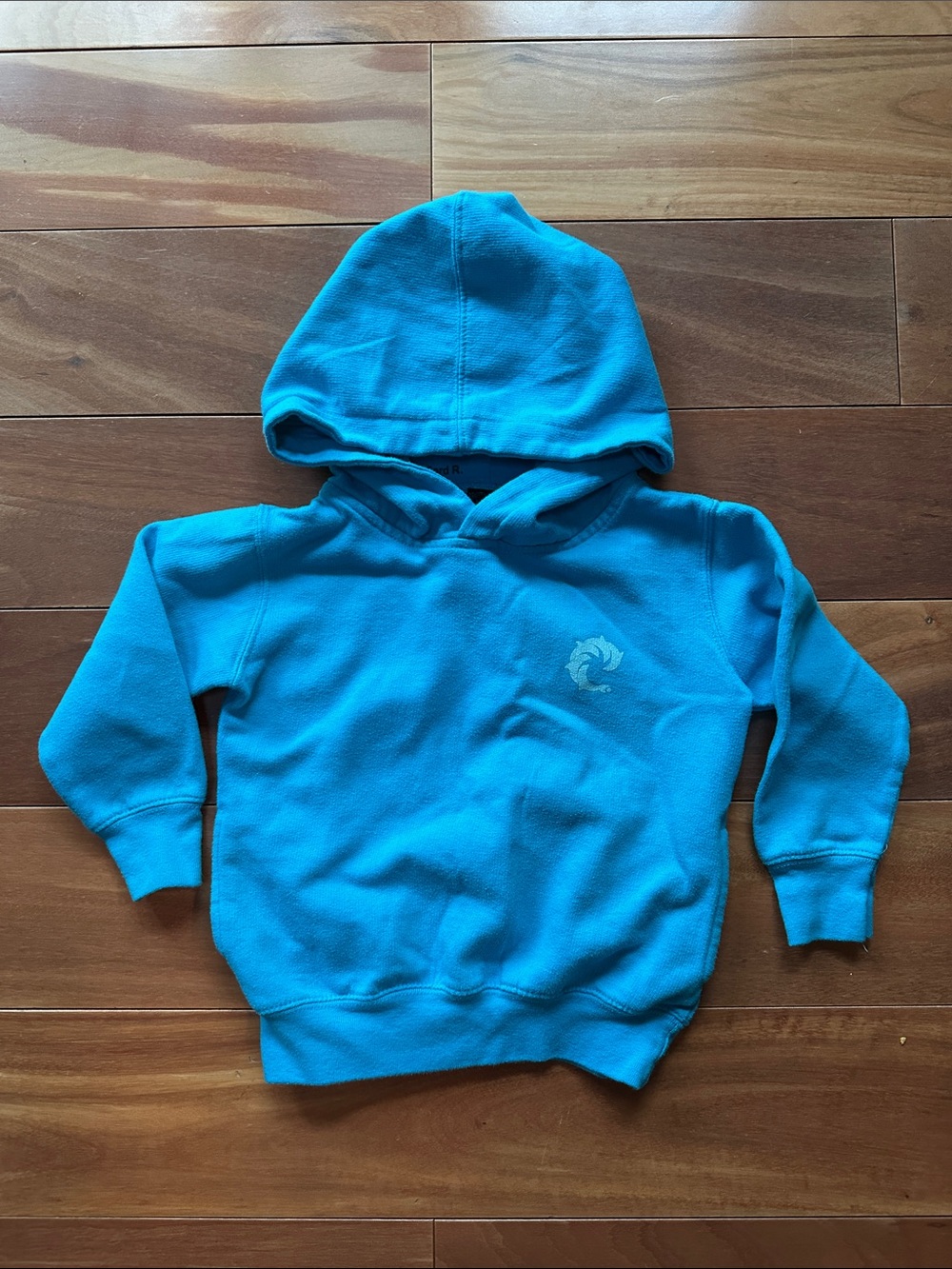 WRV Teal Hooded Kids Sweatshirt 3T